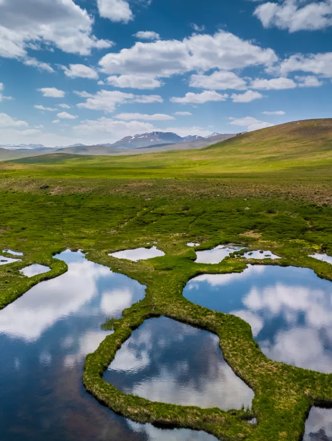 Deosai National Park