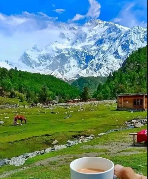 Fairy Meadows Best Season & Time To Visit