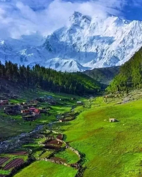 Fairy Meadows GB