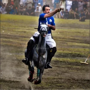 Freestyle Polo: The Game of Kings & The King of Games