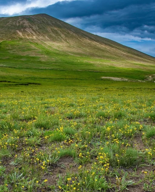 Deosai National Park