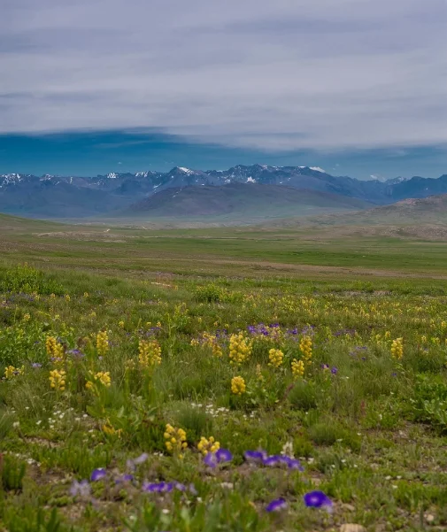 Things To Do In Deosai National Park